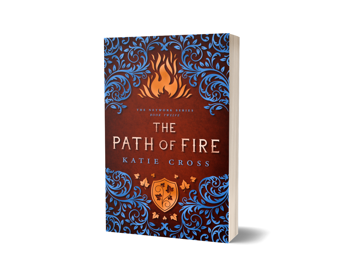 The Path of Fire | Book 12 The Network Series | PREORDER