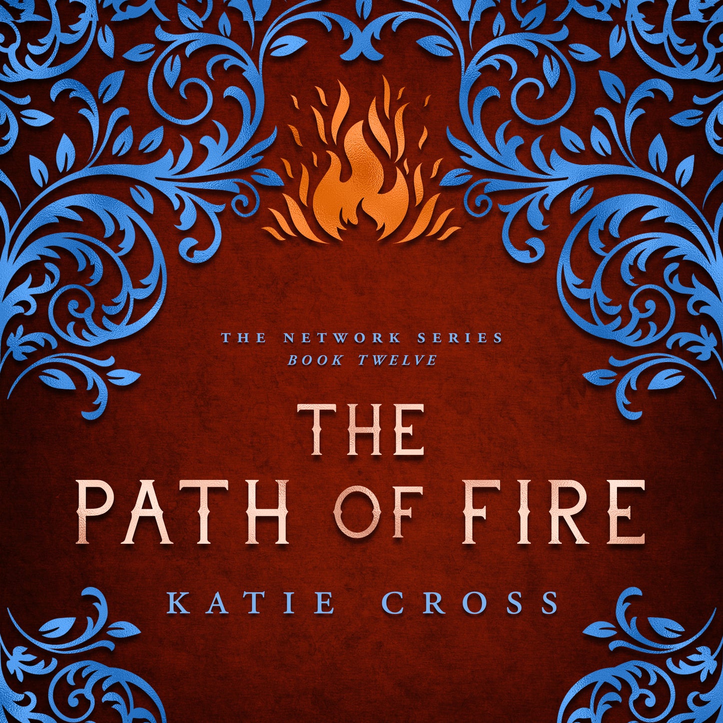 The Path of Fire | Book 12 The Network Series