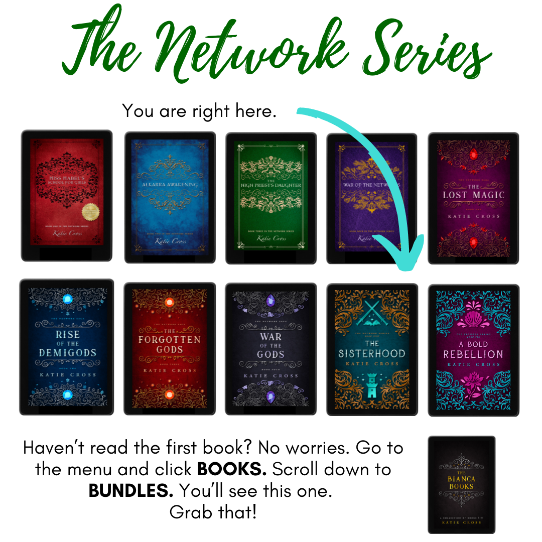 The Sisterhood | Book 9 in The Network Series