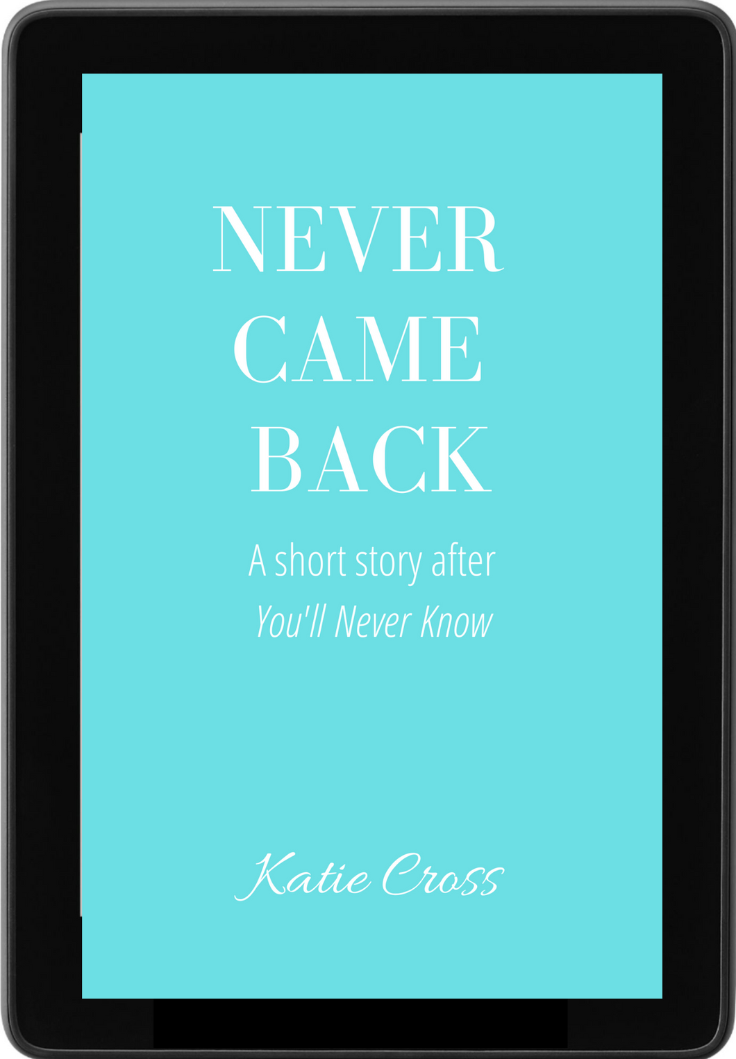 Never Came Back | Ebook